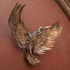  B005119croofm